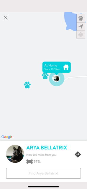 FitBark history screen