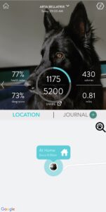 FitBark Dashboard